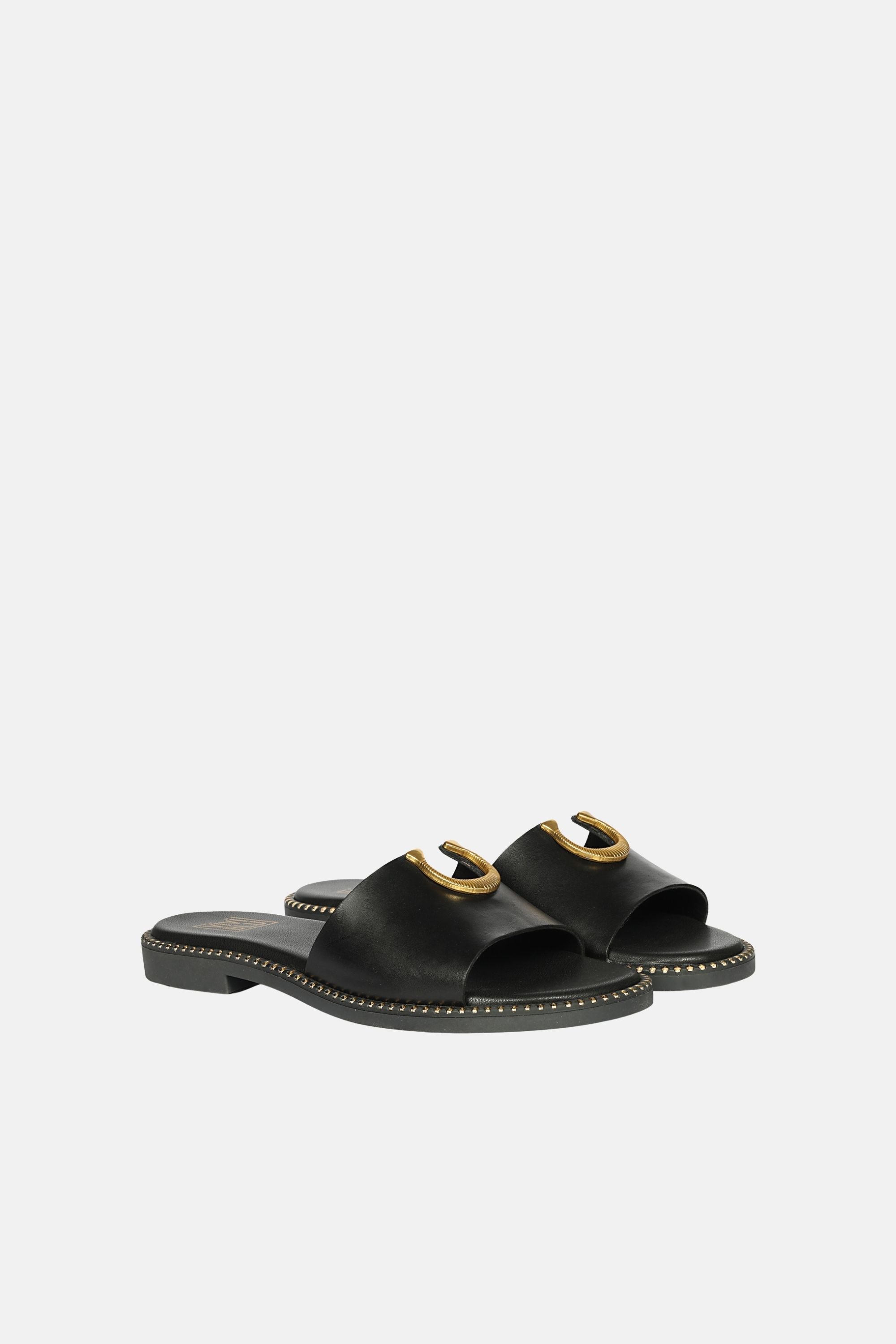 Acacia Flats by Vivi Blu showcasing elegant gold horse shoe trim on stylish black genuine leather design, perfect for modern women.