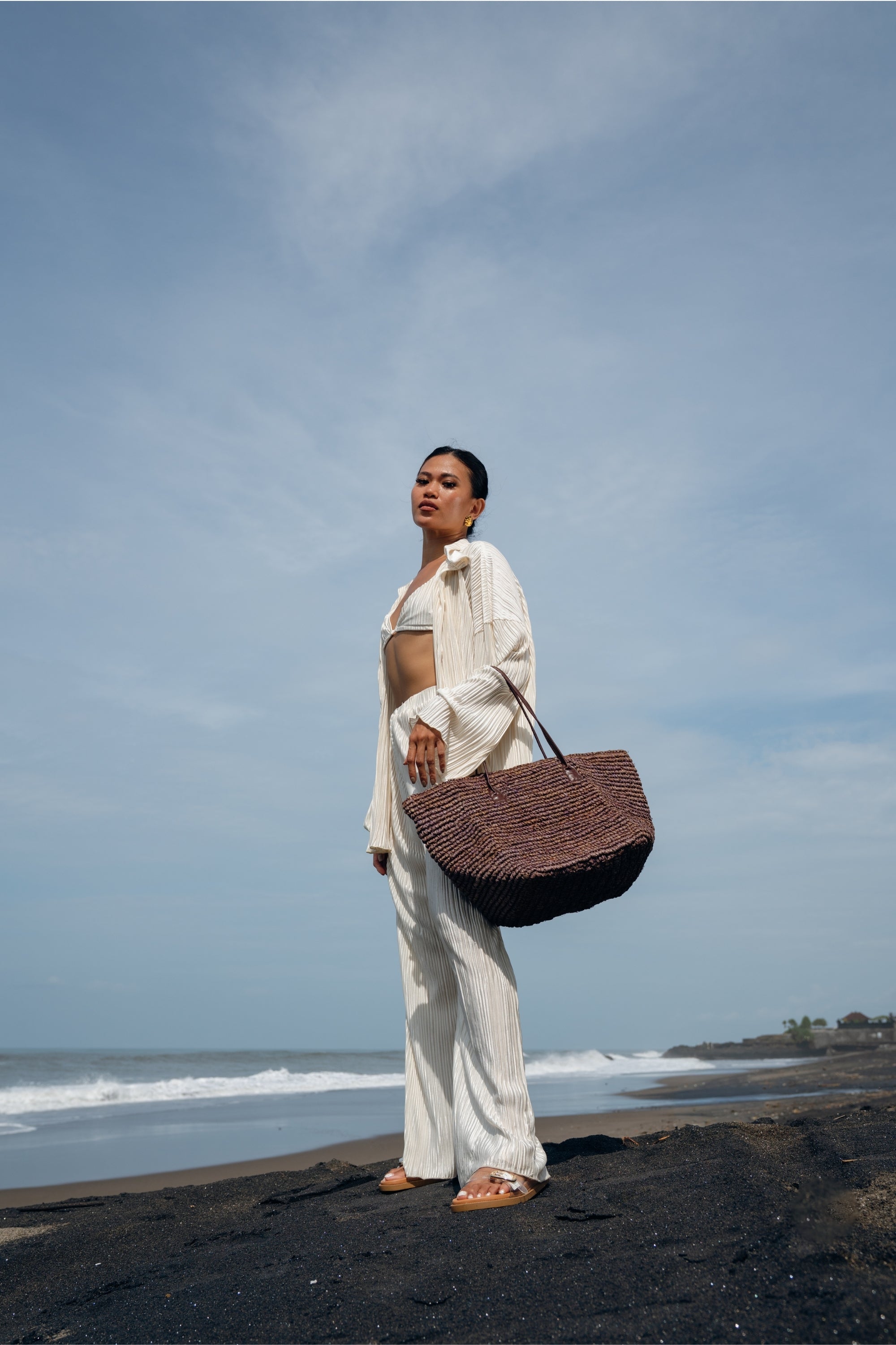 Jelavu - Wade Chocolate Tote Bag