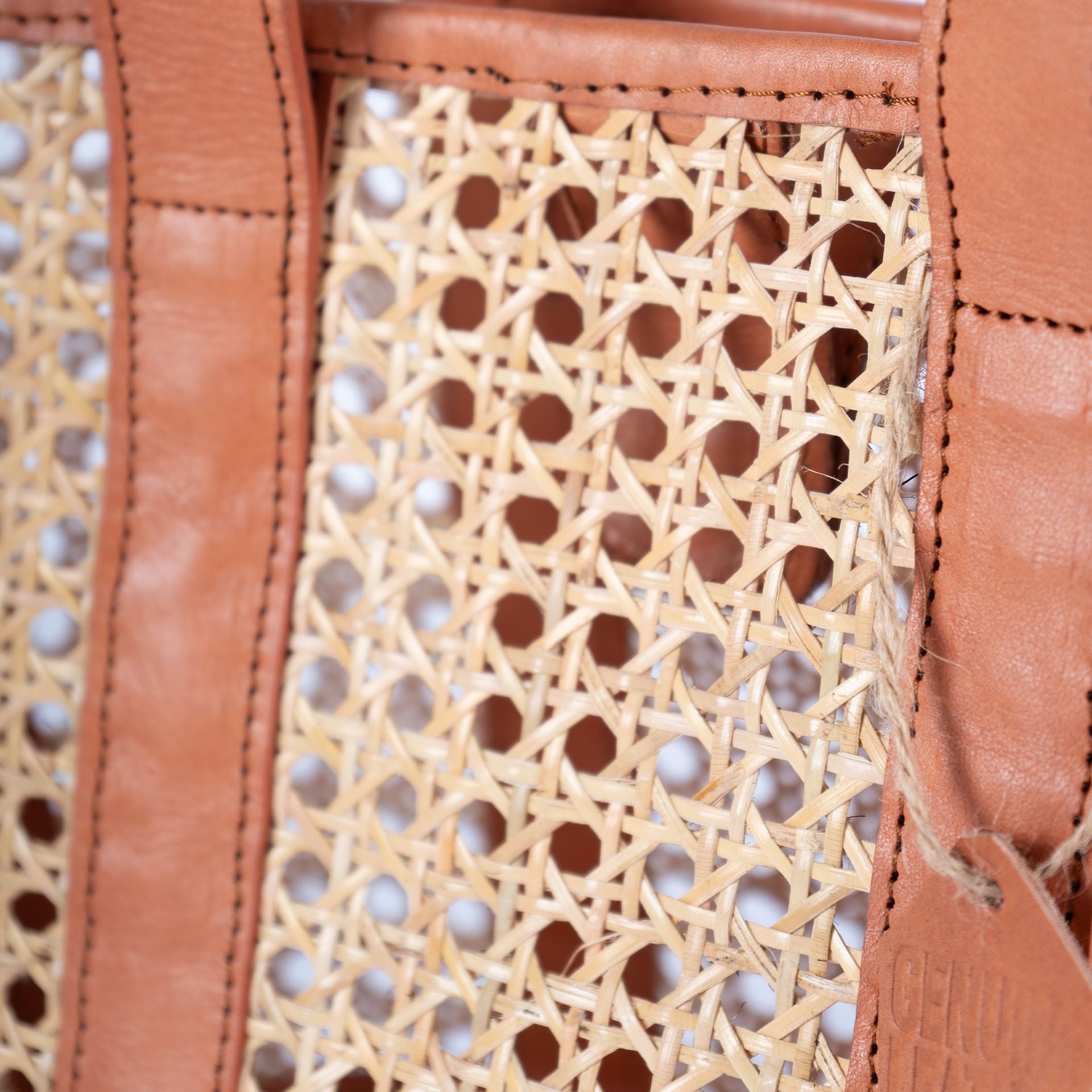 Jelavu Sandi Tan Tote Bag